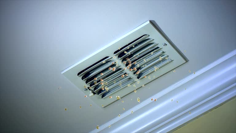 Best Commercial Air Duct Cleaning  in Rupert, ID